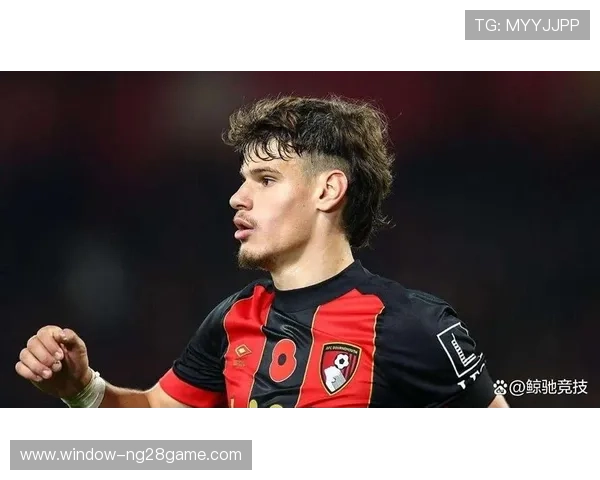 伯恩茅斯俱乐部新赛季引援与战术布局全面升级冲击英超更高排名目标